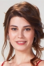 Elif Doğan Film ve Dizileri