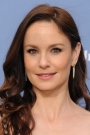 Sarah Wayne Callies Film ve Dizileri