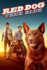 Kırmızı Köpek 2