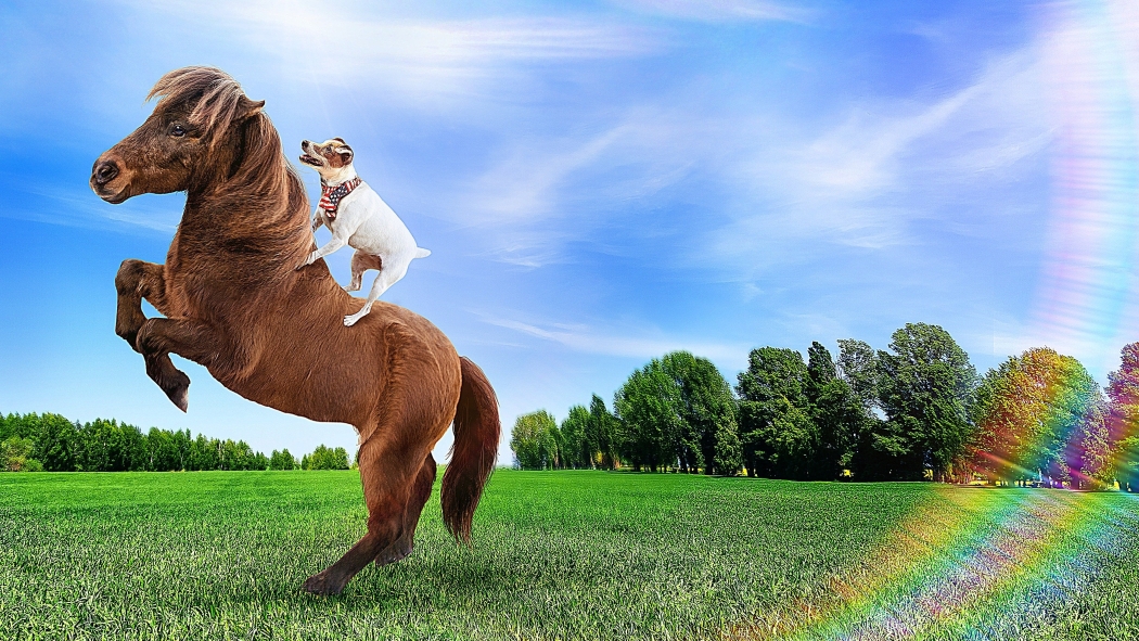 Dally ve Spanky'nin Maceraları izle