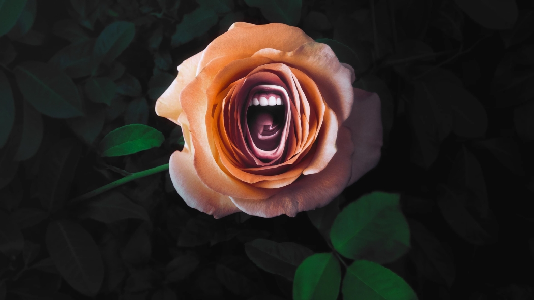 Roar 1. Sezon 3. Bölüm izle